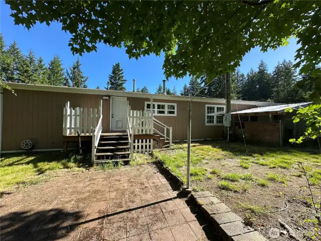 Back yard