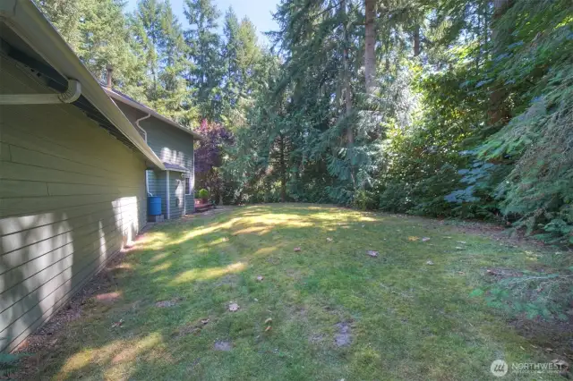 Surrounded by trees