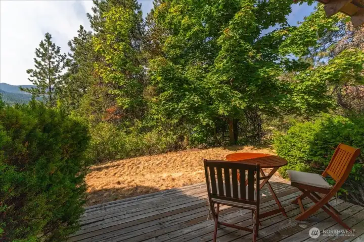 View from patio