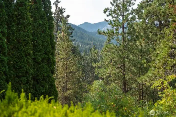 View from outside patio