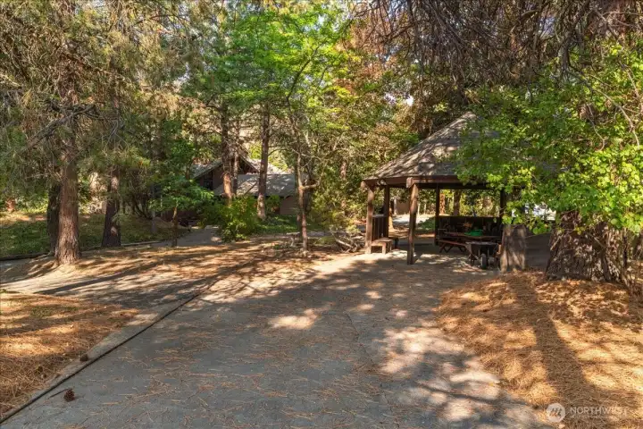 View of Gazebo with rich forested surroundings