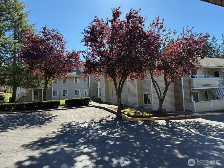 Ground floor corner unit with no steps and has fenced patio with storage.
