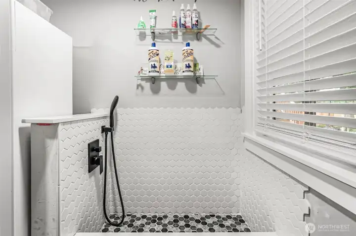 A shower for little ones?  Nope, this has been lovingly installed for dogs.....a true Doggy Shower!