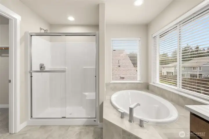 Primary bathroom with soaking tub.