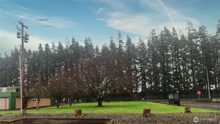 Back of lot (from City Hall parking lot)