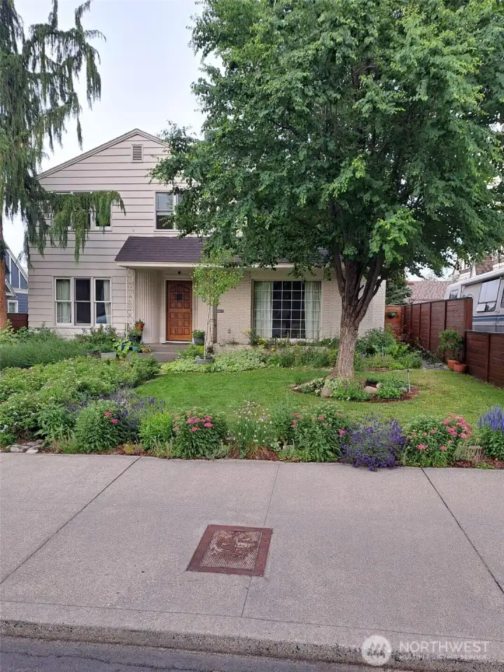 Front View/Flowers in Bloom