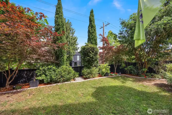 Front yard