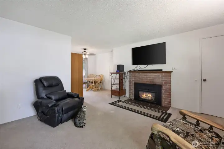 Cozy fireplace, coat closet to right.