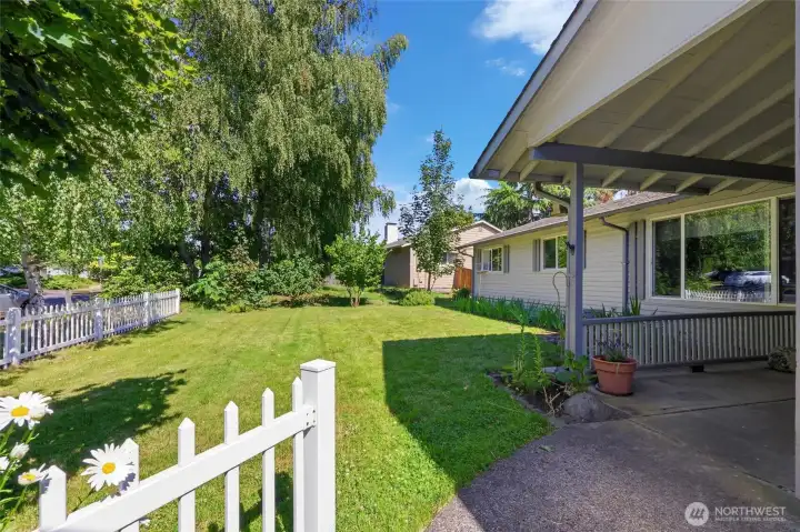 Large front yard