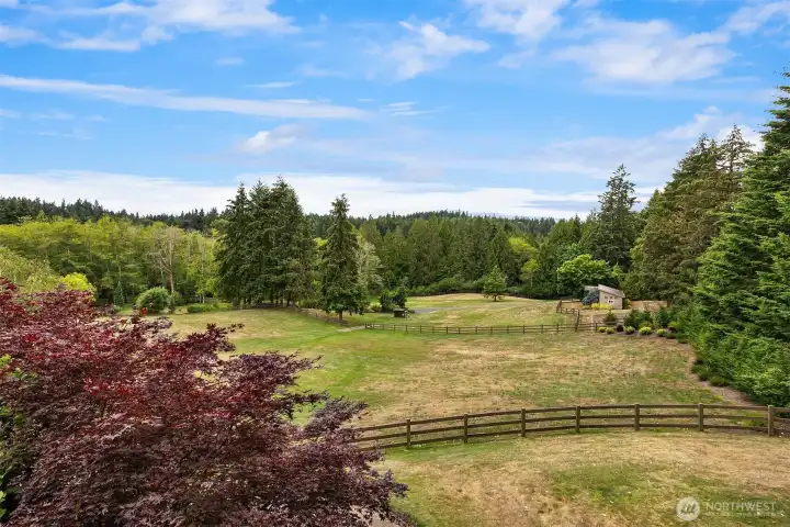 Stunning western view from the treehouse deck.