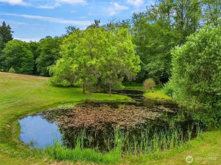 The serenity of this place is captivating. This peaceful retreat offers an unparalleled sense of calm, perfectly balanced by its thoughtful design and natural surroundings. Whether you are seeking a quiet escape or a harmonious space to call home, the gentle atmosphere here provides a refreshing sense of sanctuary that is truly rare to find.