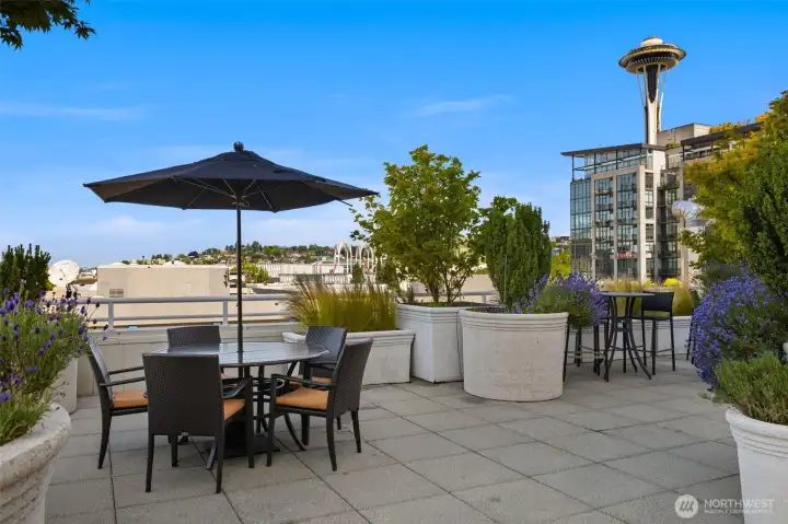 Outdoor Terrance with Space Needle Views