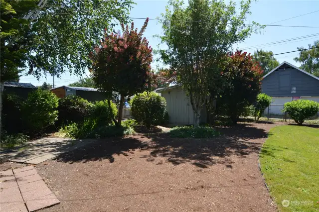 Fenced Yard & Patio