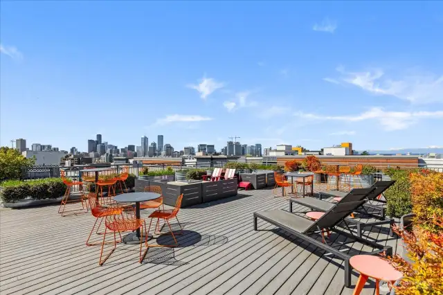Roof top deck