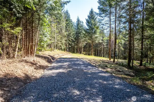 Beautiful clearing for your new home!