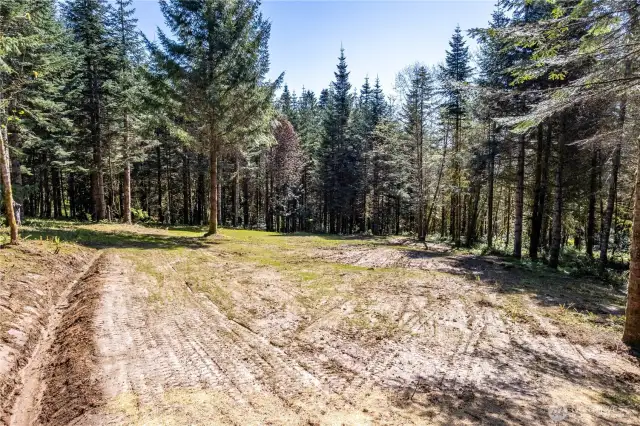 Surrounded by trees....
