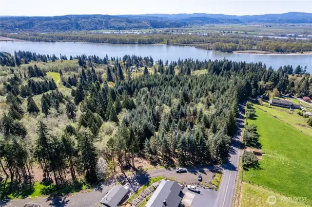 Perhaps clear a few trees for a peek a boo view of the Columbia River....