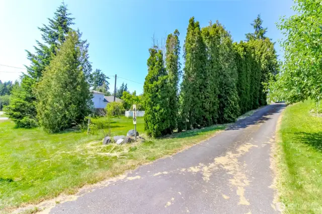 Driveway situated on the east property line