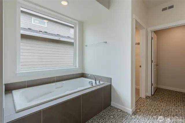 Primary Bathtub