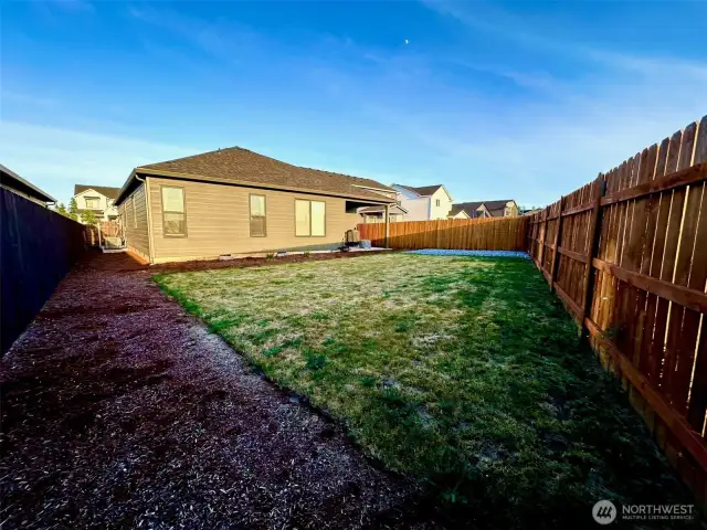Backyard