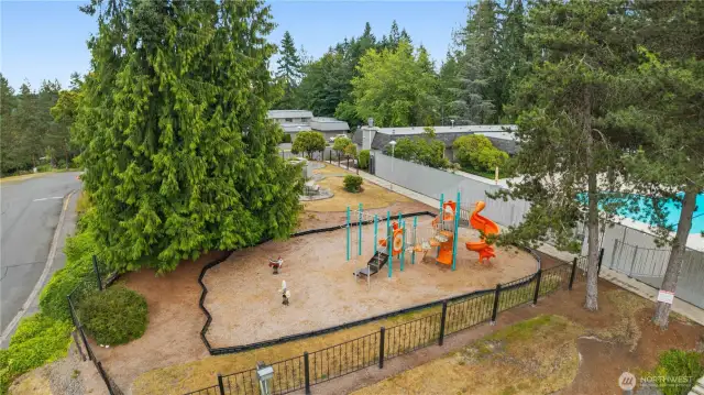 View of play area