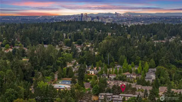 Aerial view of proximity to downtown
