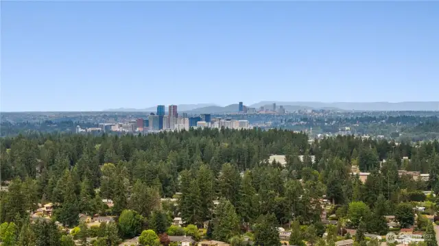 Aerial view of proximity to downtown