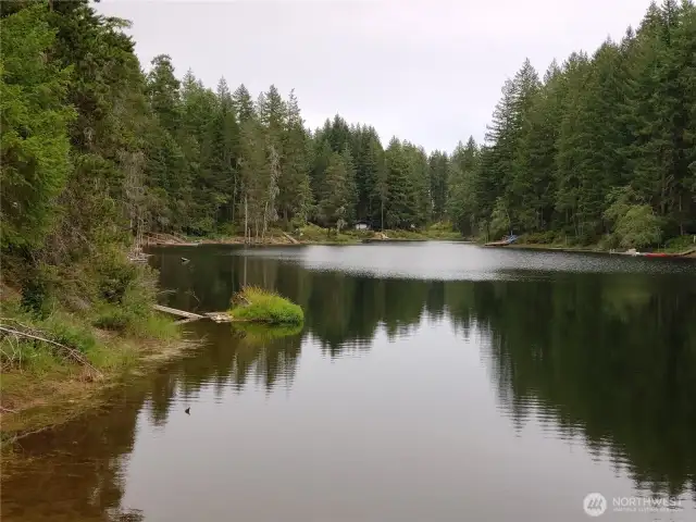 Collins Lake a non-combustible motor lake.
