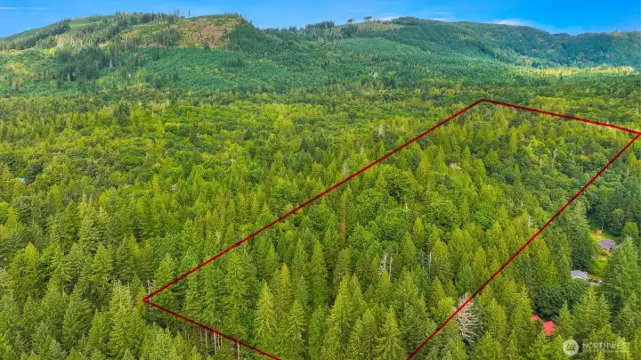 Approximate Lot lines.