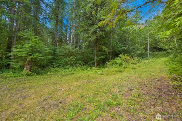 Access road to back of property.