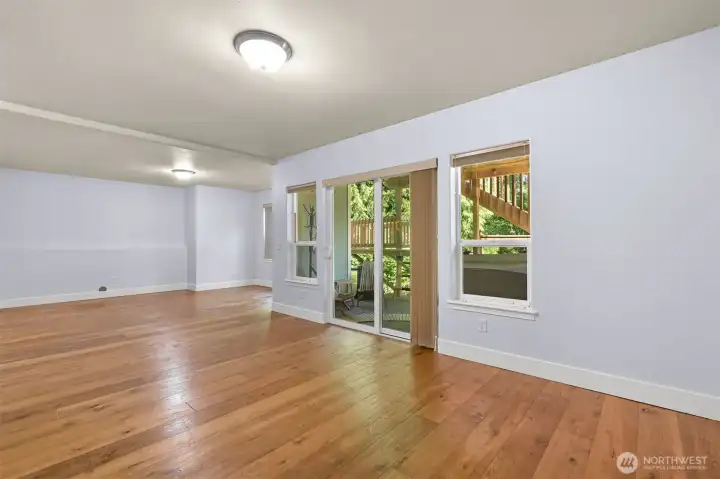 lower level recreation room