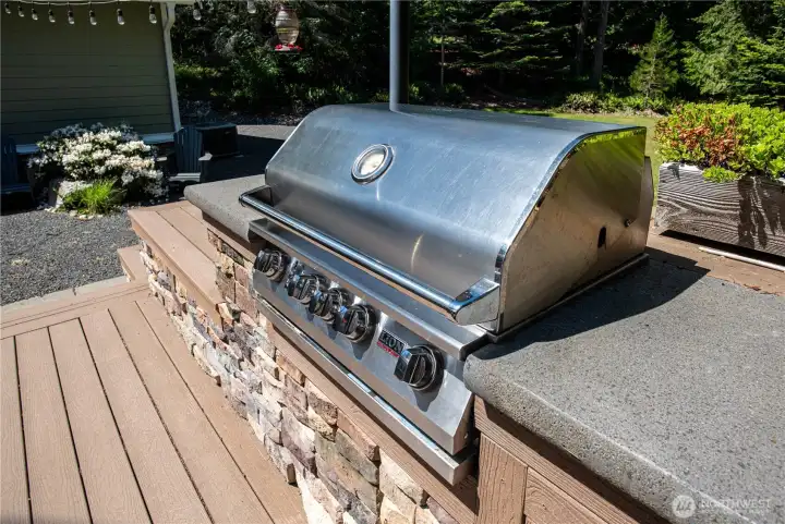 Fabulous outdoor living space with a built-in Lion BBQ.