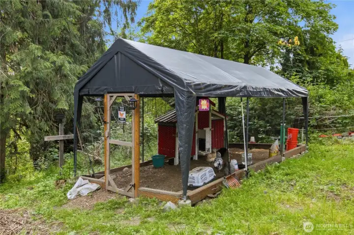 Chicken Coop Stays (chickens do not)