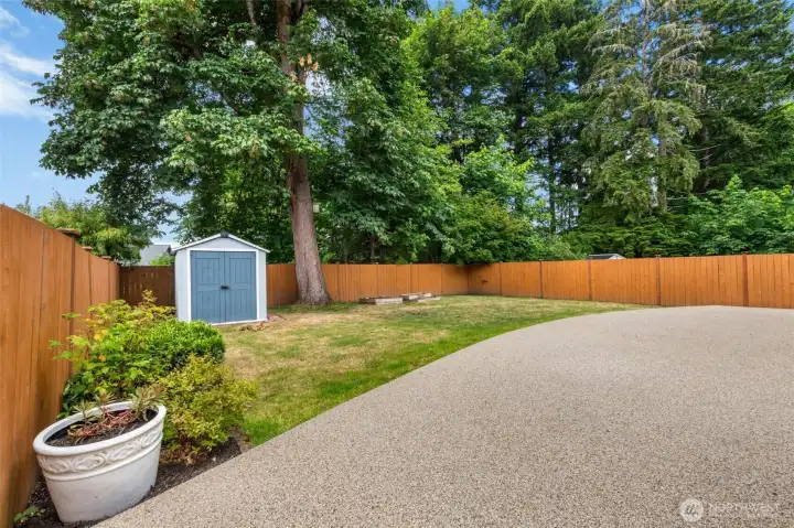 Backyard Backyard