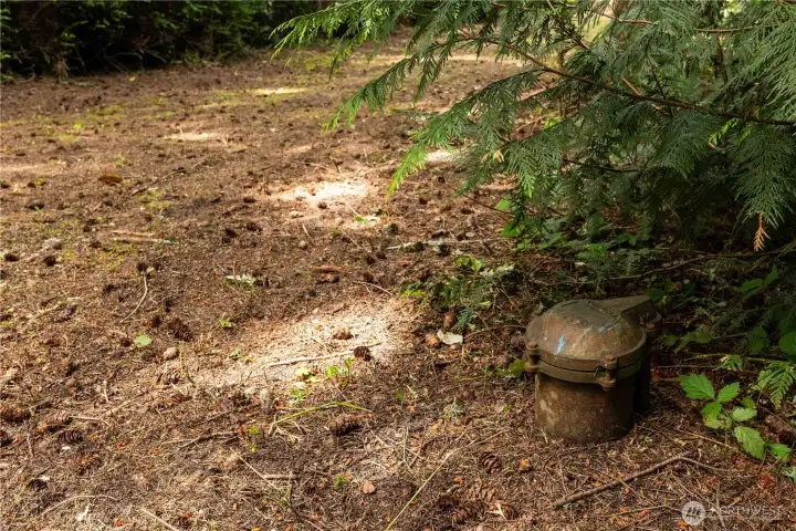 Well head at street edge of property.