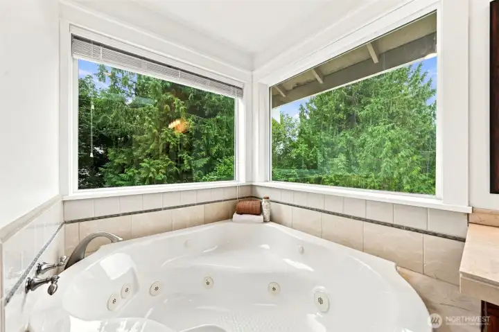 Sunny jetted soaking tub in the primary bathroom.