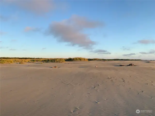 Sand Dunes at Ocean City State Park, north of the property