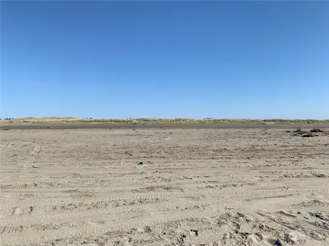 Sand Dunes just south of Taurus Blvd