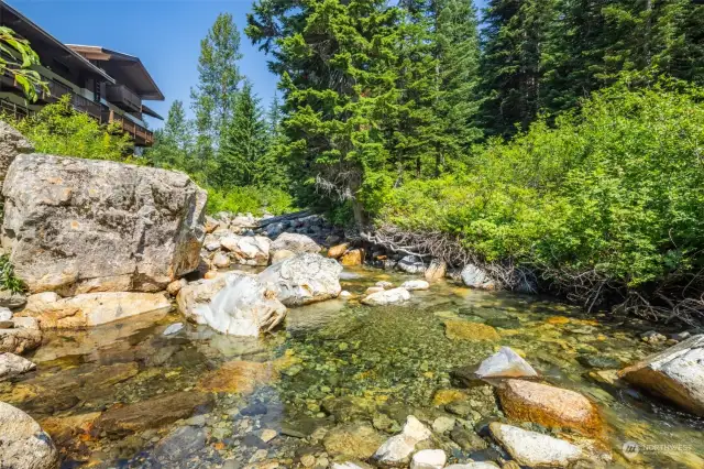 Creek in backyard