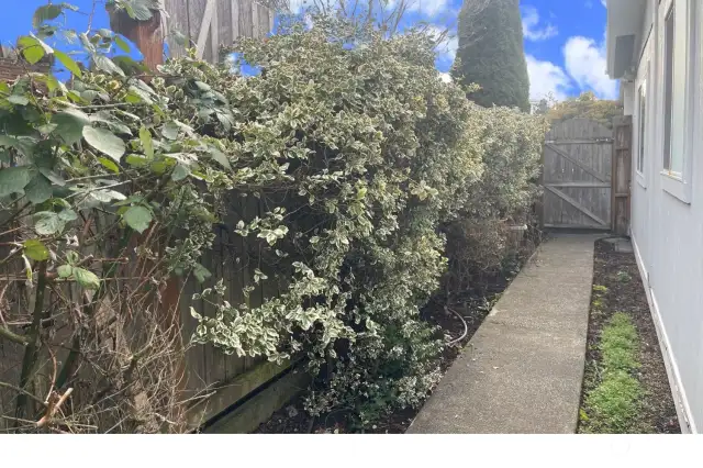 Inviting Side Walkway – The side walkway offers easy access around the home, with a well-maintained path that leads you through the property. Perfect for additional privacy or simply enjoying the view as you move from front to back.