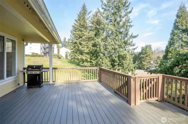 Additional view of the deck off the kitchen, highlighting even more stunning scenery.