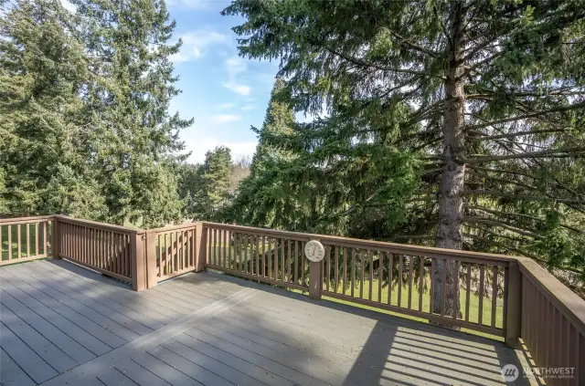 The upper deck is perfect for entertaining, with picturesque views of the golfers. A gate offers easy access to the lower patio, located just off the lower-level family room.