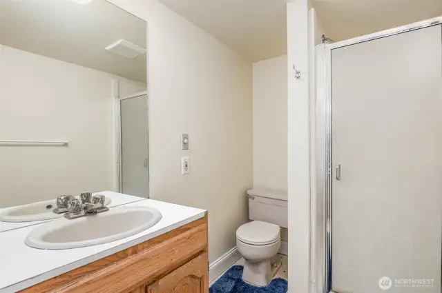 Lower level Bathroom