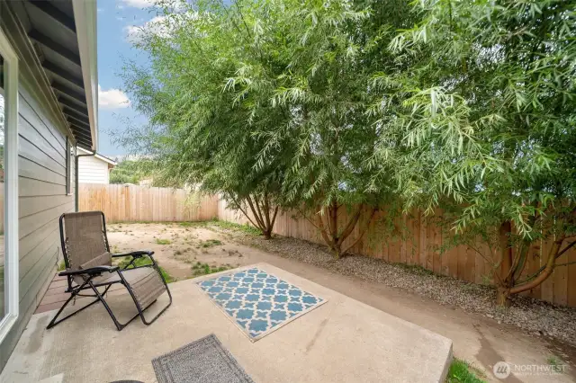 Backyard - Fenced