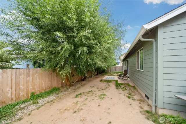 Backyard - Fenced