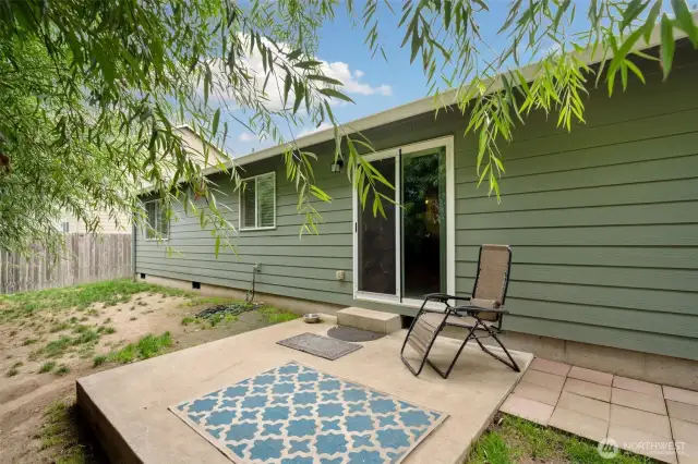 Backyard - Fenced