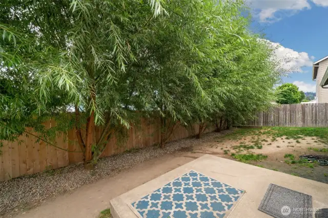 Backyard - Fenced