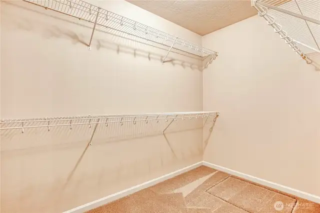 spacious closet in primary