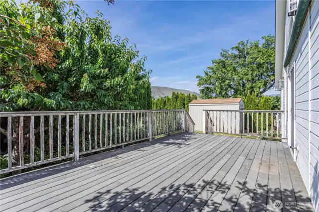 Back deck with privacy