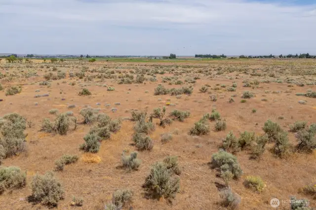 Great development opportunity